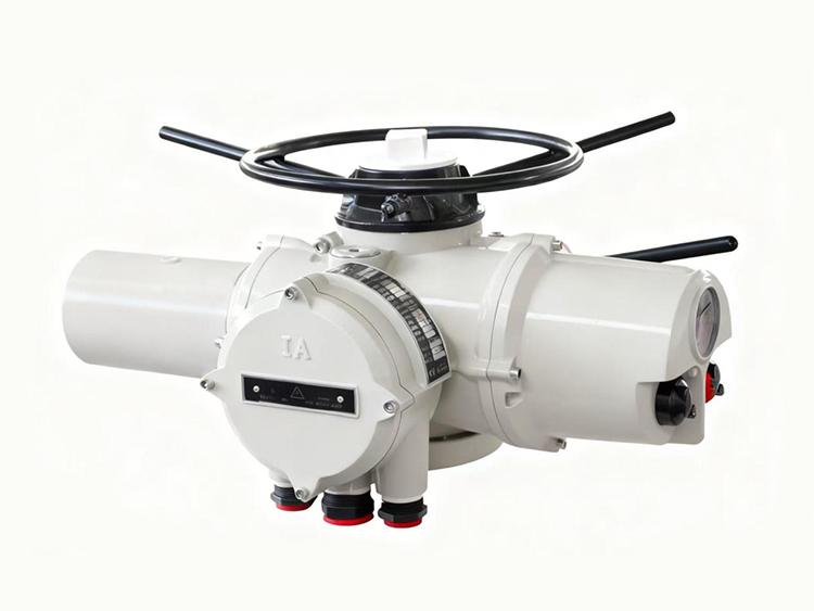 智能型IA系列電動(dòng)執(zhí)行器